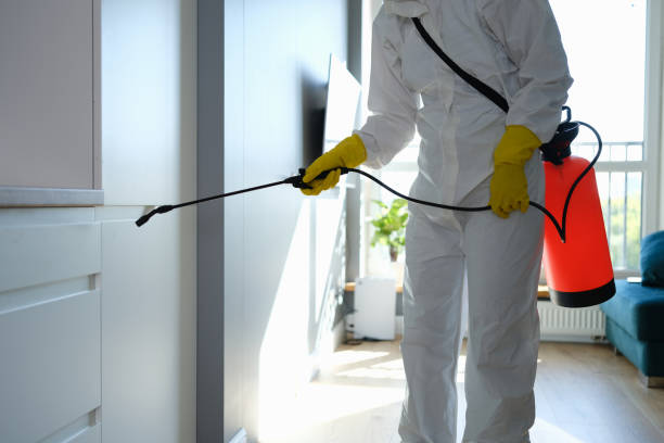 Best Same-Day Mold Removal  in Slaughterville, OK