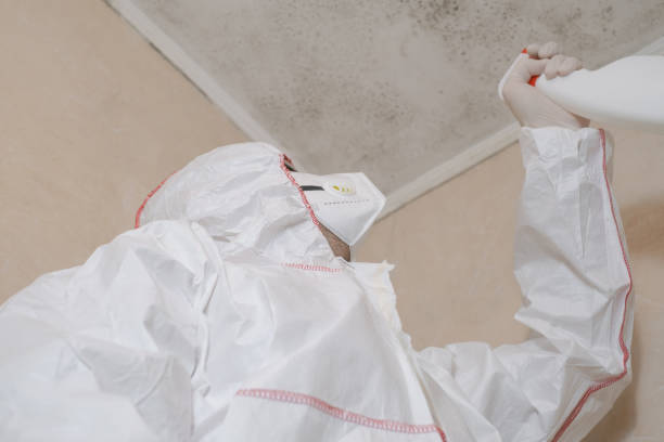 Best Emergency Mold Removal  in Slaughterville, OK